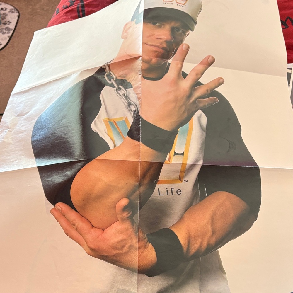 WWE Poster with Black and White Highlights